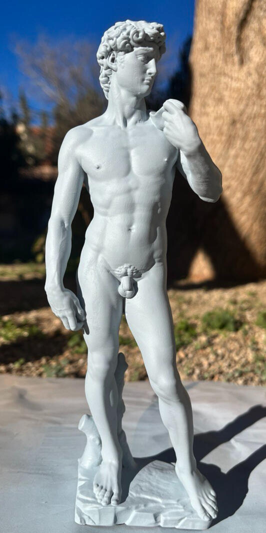 David de Miguel Ángel | 2024 |